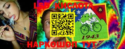 индика Рыбинск