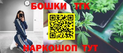 индика Рыбинск