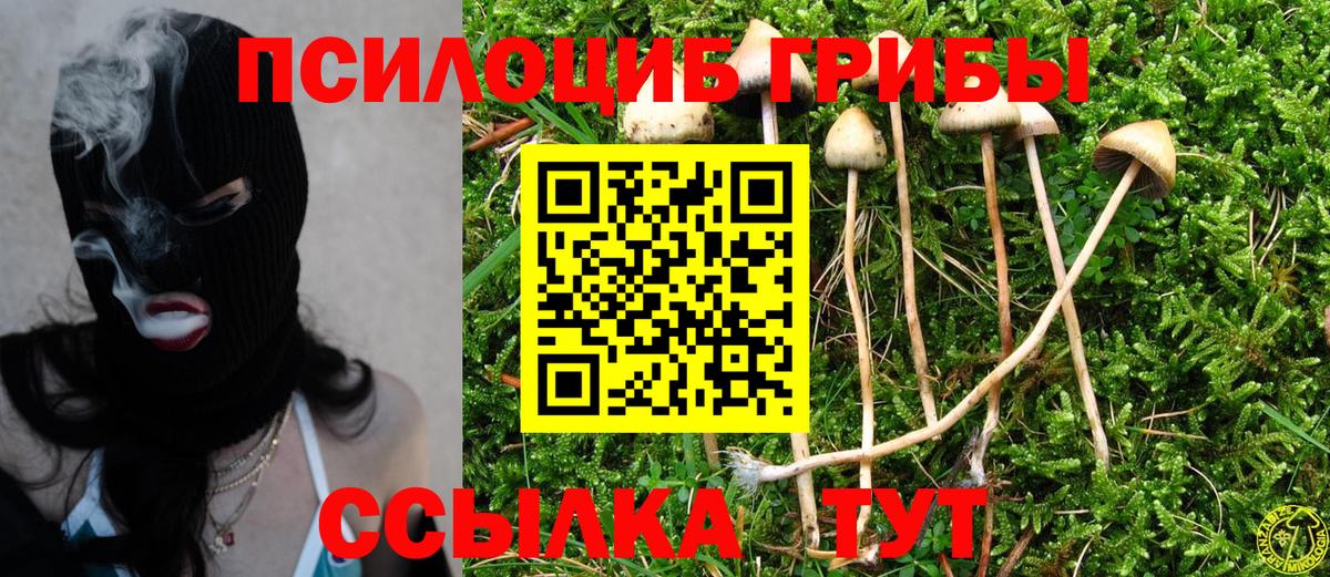Нягань  Галлюциногенные грибы Psilocybine cubensis  Вход с VPN  Галлюциногенные грибы Magic Shrooms 